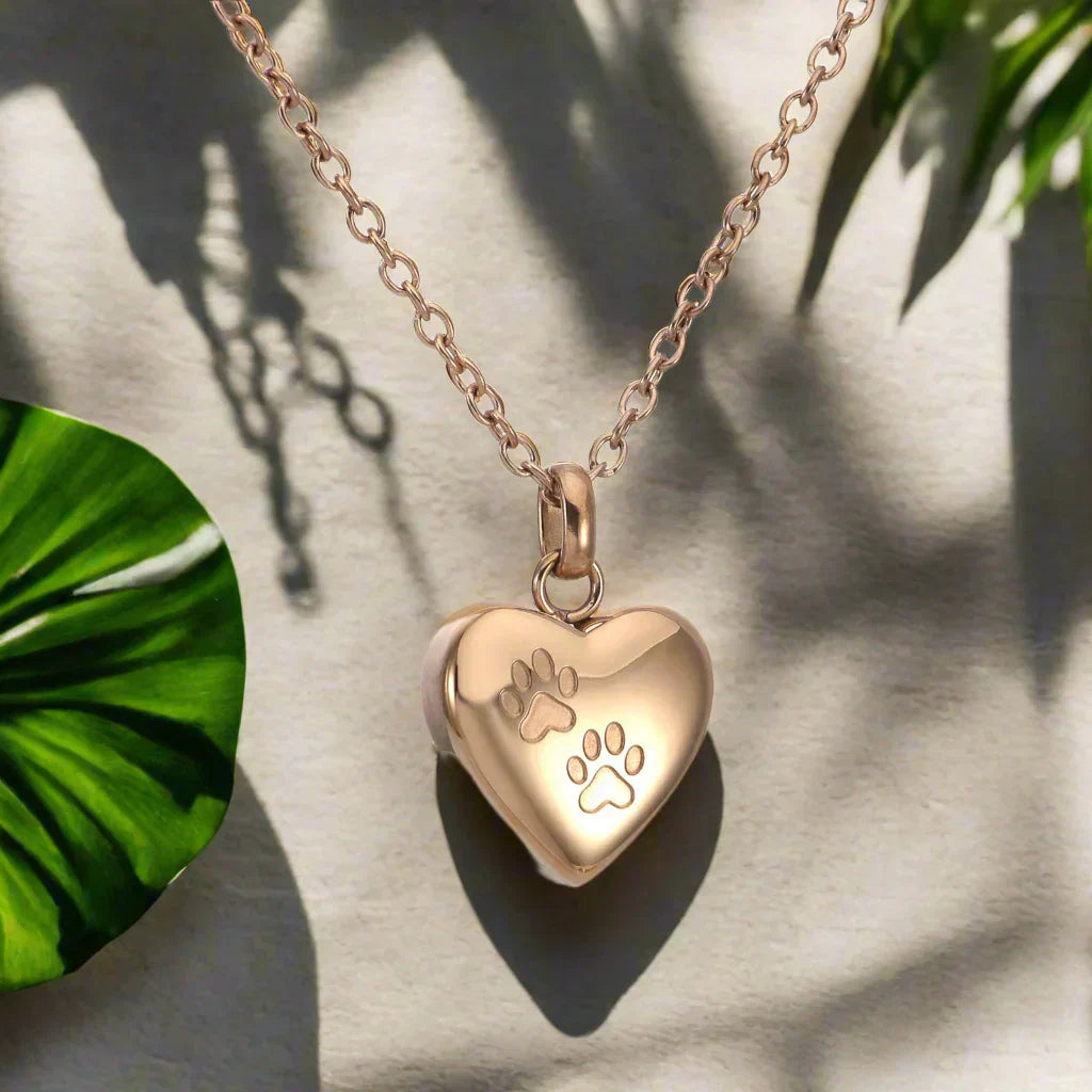 Collier commémoratif avec cœur de patte – Pendentif urne en acier inoxydable