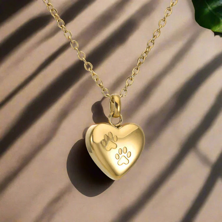 Collier commémoratif avec cœur de patte – Pendentif urne en acier inoxydable
