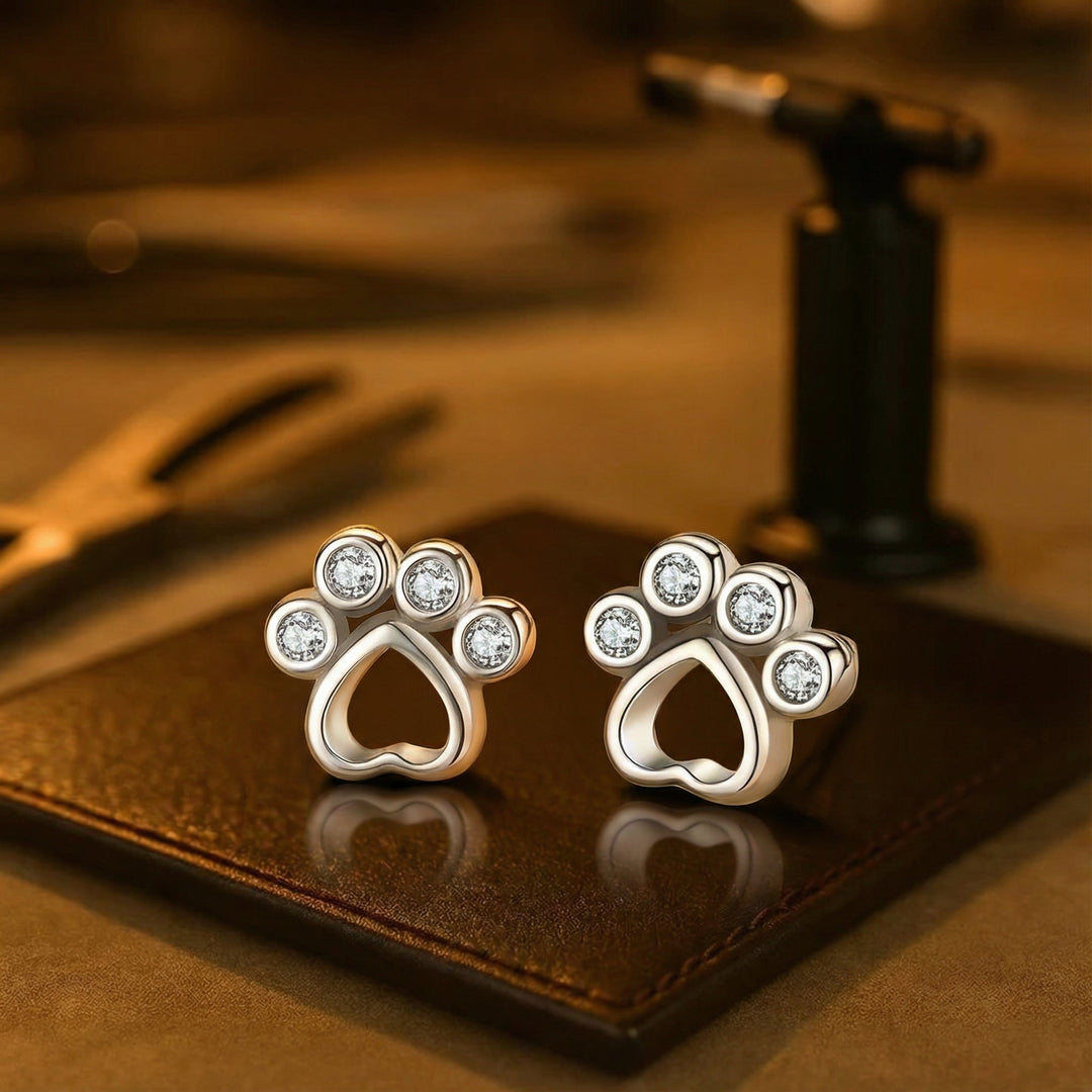 Boucles d'oreilles en argent en forme de patte avec zircone